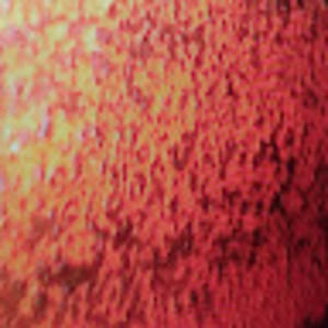 Meet your Posher, Gary